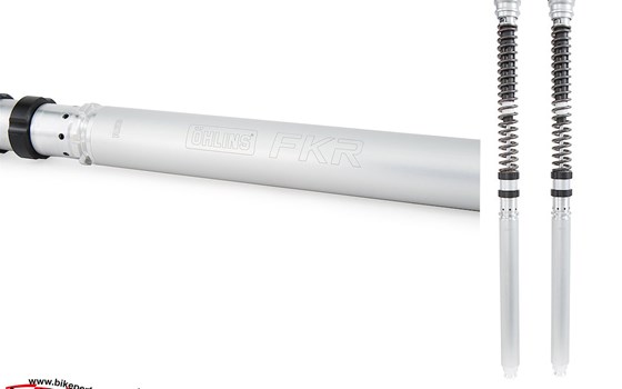 BMW S1000RR 2019: Brandneue Öhlins Komponenten bestellbar! - Bild 1 BMW S1000RR 2019: Brandneue Öhlins Komponenten bestellbar! - Bild 1