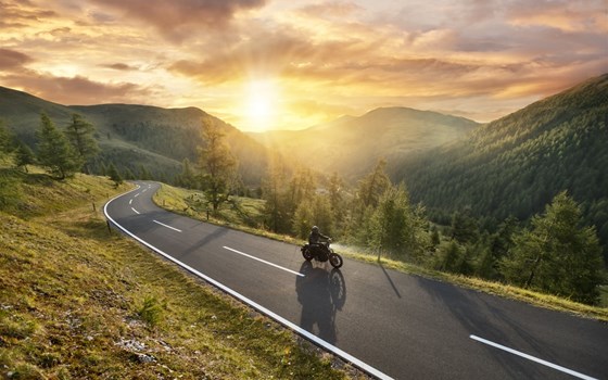 Verlängerung der dguard Aktion - Bild 2