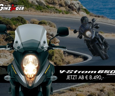 V-Strom 650