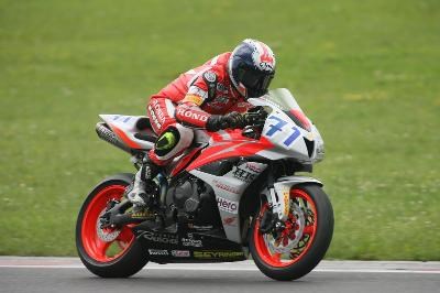 Thomas Berghammer #71 Thomas Berghammer #71