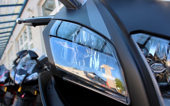 Es ist offiziell! - Bild 4