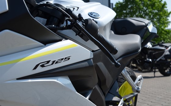 > 4 Neuzugänge < - Bild 1