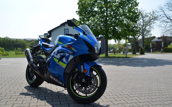 > 4 Neuzugänge < - Bild 8