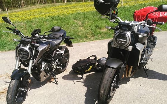 Grüße aus dem Spessart  - Bild 2