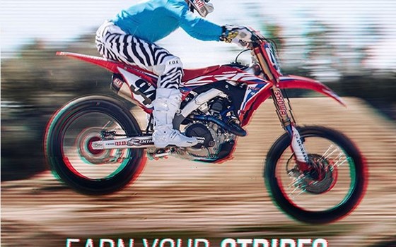 EARN YOUR STRIPES - Bild 1