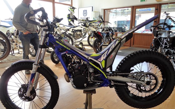>>>SHERCO STR300 - 2019<<< - Bild 2