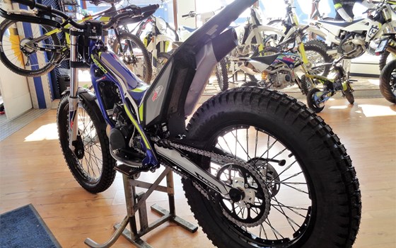 >>>SHERCO STR300 - 2019<<< - Bild 6