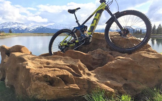 Das HUSQVARNA HC7 ist dein perfekter Begleiter über Stock und Stein - Bild 2