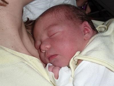 Nachwuchs bei Holz&#228;pfels