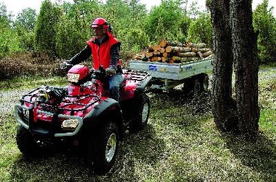 **NEU BEIM HONDA TEAM SCHLIETER - HONDA ATV **  - Bild 7