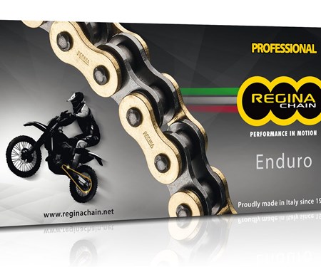 Regina Z-RING Kette ZSE