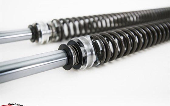 Neue Honda Monkey: Öhlins sowie Dynojet Optimierungen ab sofort erhältlich! - Bild 5