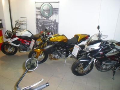 Benelli Modelle 2010! - Bild 5