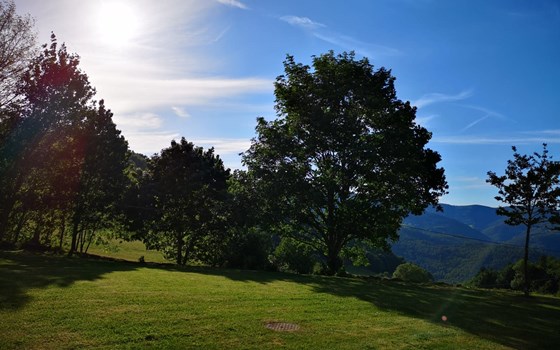 Angekommen in Sainte-Marie-aux-Mines, Frankreich  - Bild 3