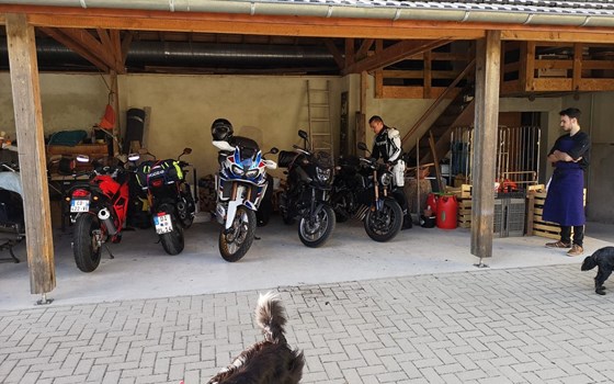 Angekommen in Sainte-Marie-aux-Mines, Frankreich  - Bild 5