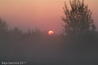 Saxaonia Rally - Bild 5