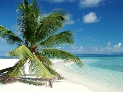 Betriebsurlaub KTM Knopper