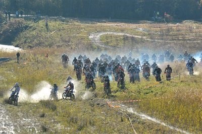 SUZUKI Cracks starten beim Deep Brown Earth!