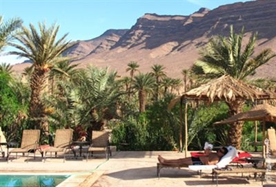 KTM Braumandl / Tiger Trip Gewinnspiel - Bild 2