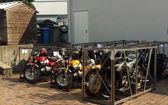 Neue Monkey's  - Bild 2