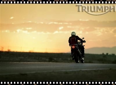 TIGER EXPLORER - Der Preis ist heiß! Bild 2: TIGER EXPLORER - Der Preis ist heiß!