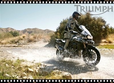 TIGER EXPLORER - Der Preis ist heiß! - Bild 3