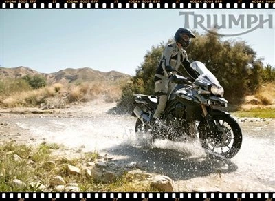 TIGER EXPLORER - Der Preis ist heiß! Bild 3: TIGER EXPLORER - Der Preis ist heiß!