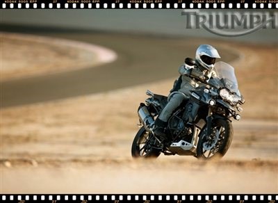 TIGER EXPLORER - Der Preis ist heiß! - Bild 4