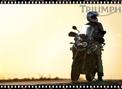 TIGER EXPLORER - Der Preis ist heiß! - Bild 5