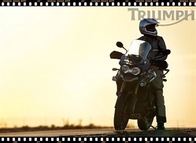 TIGER EXPLORER - Der Preis ist heiß! Bild 5: TIGER EXPLORER - Der Preis ist heiß!