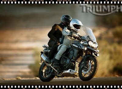 TIGER EXPLORER - Der Preis ist heiß! - Bild 6