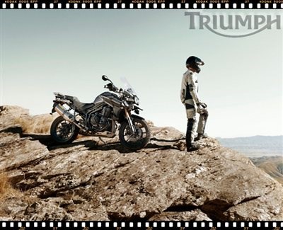 TIGER EXPLORER - Der Preis ist heiß! - Bild 7