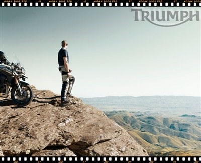 TIGER EXPLORER - Der Preis ist heiß! - Bild 8