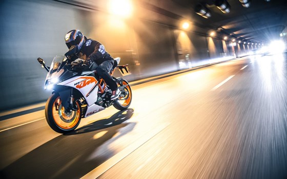 BAU DIR DEINE DUKE! - Bild 4