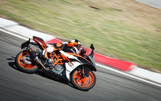 BAU DIR DEINE DUKE! - Bild 5