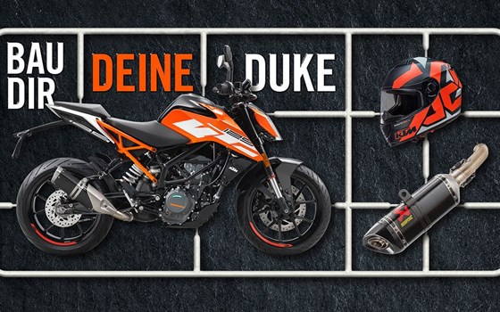 BAU DIR DEINE DUKE! - Bild 1