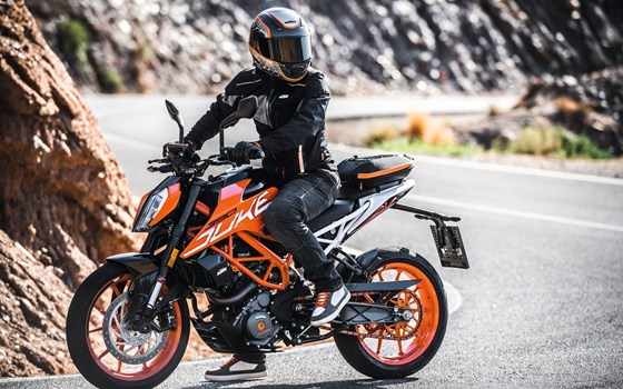 BAU DIR DEINE DUKE! - Bild 3