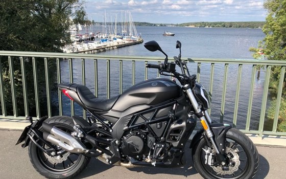 Erleben Sie den wunderschönen neuen Benelli 502c Cruiser live bei uns! - Bild 8