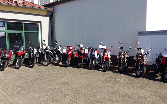 Herbstfest  - Bild 2