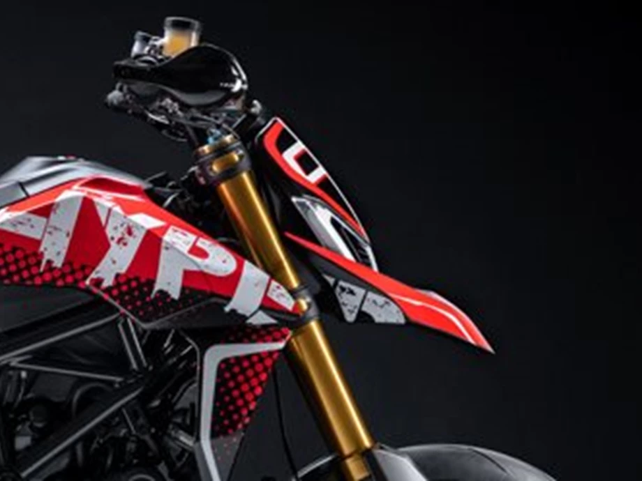 DUCATI 2020 - ERLKÖNIGE  Bild 9: DUCATI 2020 - ERLKÖNIGE