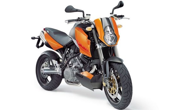 Lang lebe die DUKE! - Bild 3