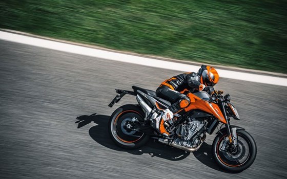 Lang lebe die DUKE! - Bild 9