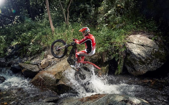 2020 Montesa Cota 301RR: Honda Trial Motorrad 2020 - Bild 9