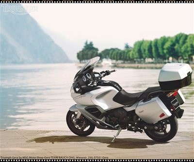 TRIUMPH´s Neuzugänge - Bild 4