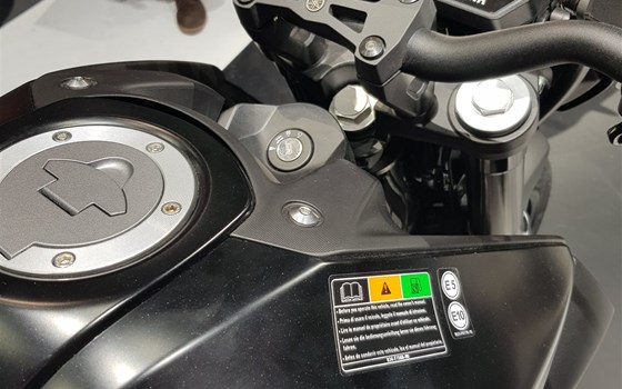 EICMA - 02 Yamaha - Bild 8