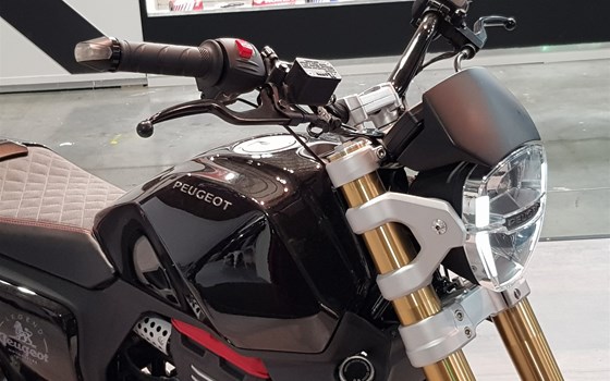 EICMA 06 - Peugeot - Bild 4