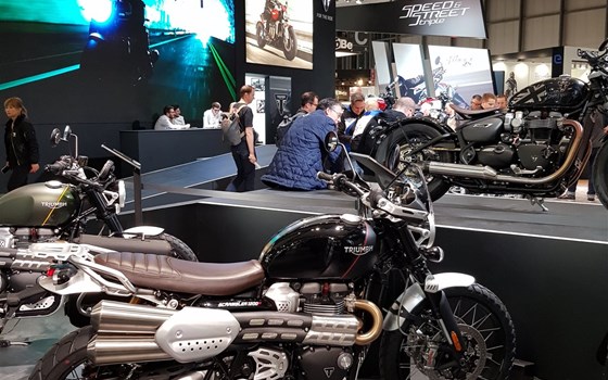 EICMA 08 Triumph - Bild 13