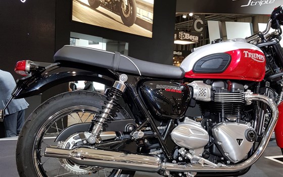 EICMA 08 Triumph - Bild 28