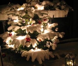 Weihnachtsgrüße & Betriebsferien