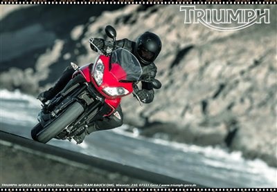 TRIUMPH TIGER SPORT - Bild 8